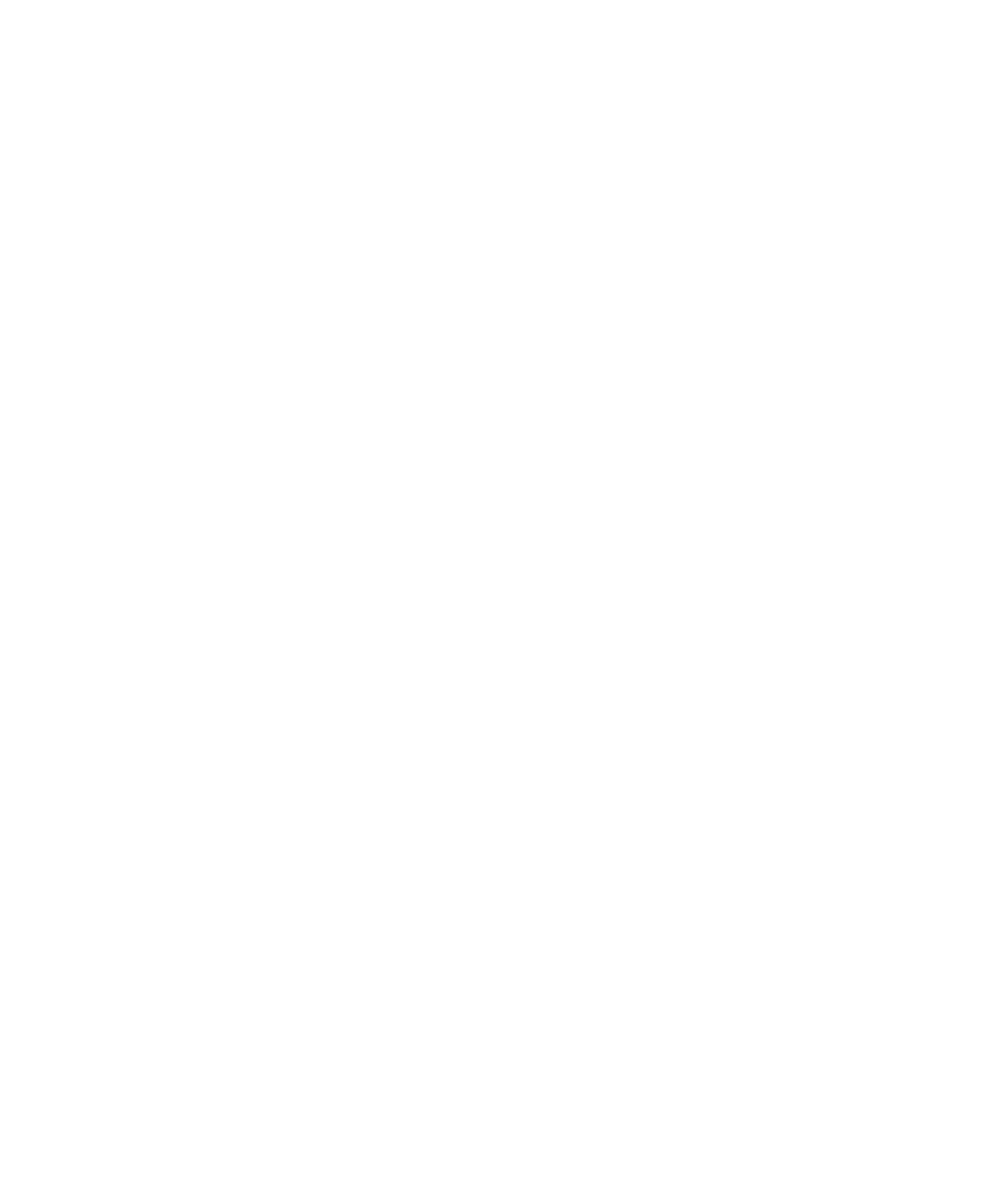 Torino